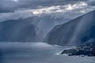De kustlijn van Madeira. van Peter Korevaar thumbnail