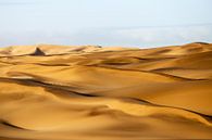 Dünen in der Namib van Britta Kärcher thumbnail