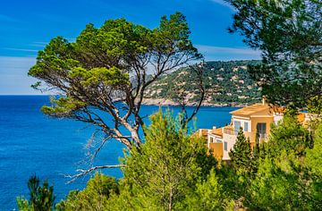 Spain Mediterranean Sea, idyllic view of the coast in Canyamel by Alex Winter