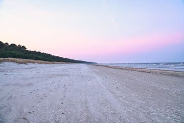 Uitzicht over het strand op Usedom met duinen aan de ene kant en de Baltische Zee aan de andere kant van Martin Köbsch