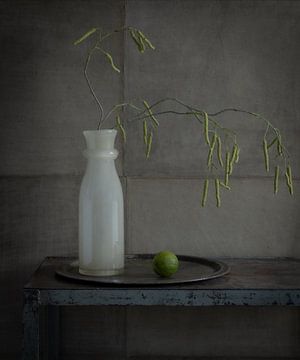 Vase mit Kalk von Caroline Martinot