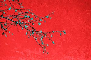 Branches en rouge II sur Corinne Welp
