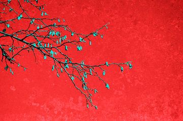 Branches en rouge II sur Corinne Welp