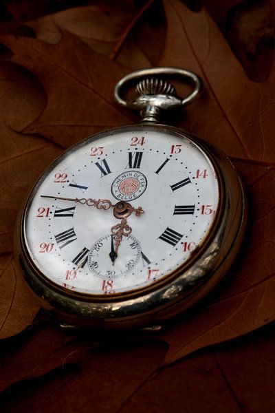 eine Taschenuhr im Herbstlaub von W J Kok
