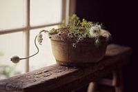 from the picking garden...still life