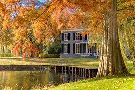 Burg Rhienderstein von FotoCreatives