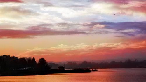 Painting or photograph?