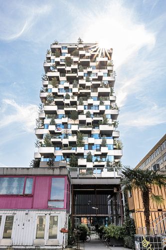 Spectacle de lumière industrielle à Strijp-S