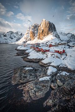 Arctic sunset over Hamnoy by Frank Verburg