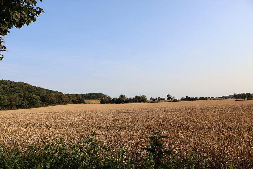 Animals and Nature by Lennart Mans