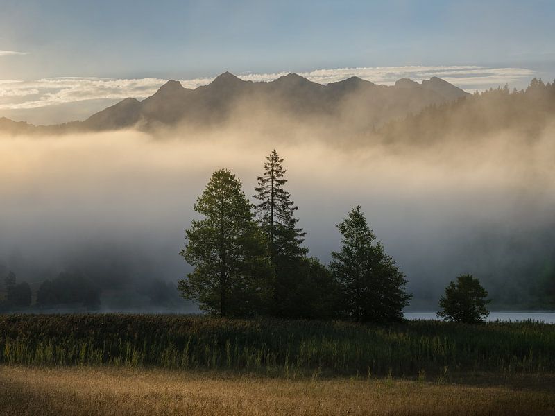 Moments like this von Patrick Noack