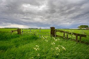 Sturmwolken, die im Frühling über frische grüne Wiesen jagen von Sjoerd van der Wal Fotografie