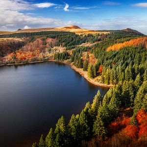 Herbstfarben Auvergne 08