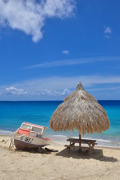 Op het strand van Curacao van Nienke Bot