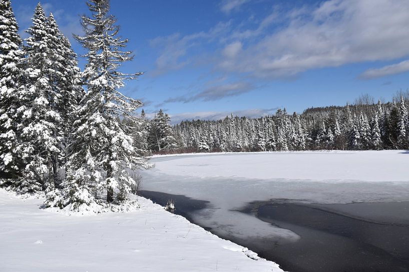 Ein letzter Frühlingsschneeschauer von Claude Laprise