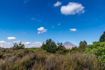 Mount Doom op het Zuidereiland van Nieuw-Zeeland van Troy Wegman