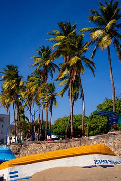 Tropisch strand met palmbomen in Nicaragua van Marlo Brochard