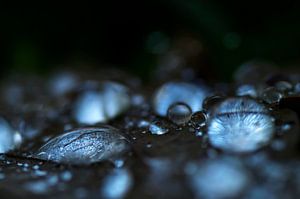 Briller dans l'obscurité ( faire briller des gouttes sur une feuille dans un environnement sombre)