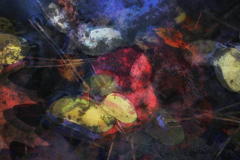 L'automne en Hollande par Jeannet Zwols  Fotografie