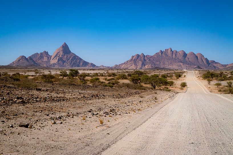 On the way to Spitzkoppe by Willemijn Wolthaus