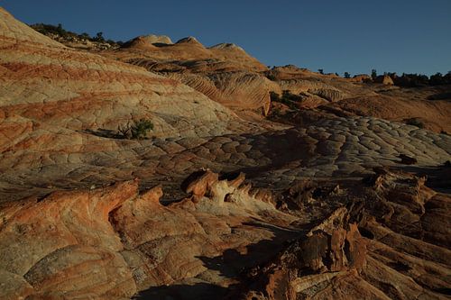 Yant Flat - Candy Cliffs - Cottonwood Forest Wilderness Utah USA