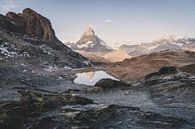 Blick auf das Matterhorn Schwarzee in der Schweiz von Tom in 't Veld Miniaturansicht