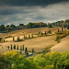 Toscaans landschap van Peter Bolman
