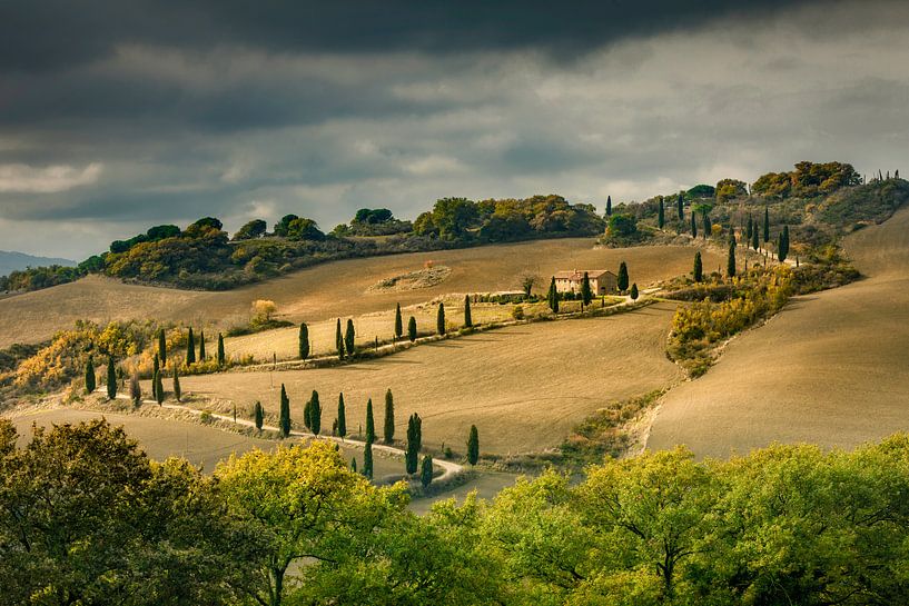 Tuscan landscape by Peter Bolman