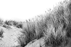 Duinen met helmgras en uitzicht op zee in zwart-wit van Anouschka Hendriks