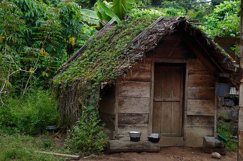 Dit Marrondorp ligt  aan de Surinamerivier in Suriname