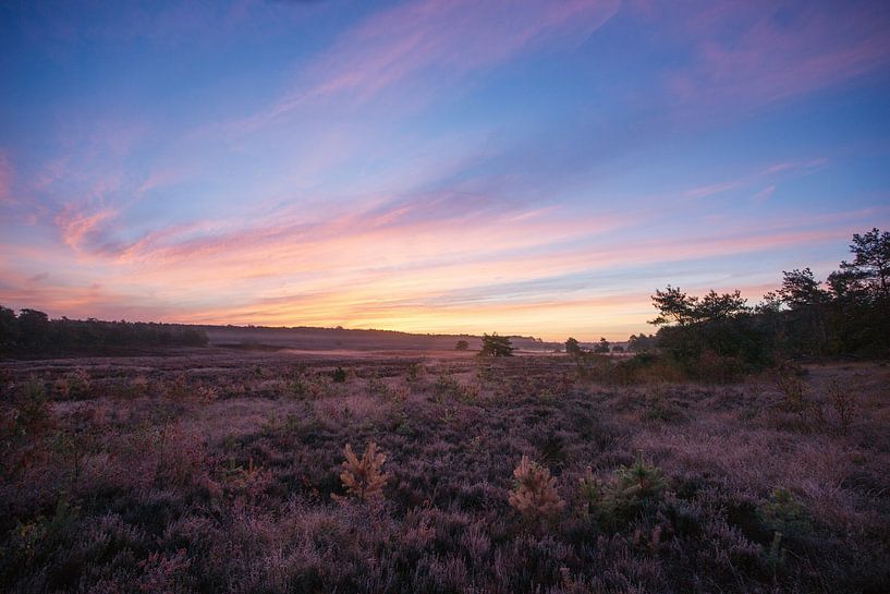 Zonsopkomst van Menno Mulder