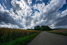 Straße zwischen Haferfeldern vor grünen Bäumen und intensiver Wolkenlandschaft von adventure-photos