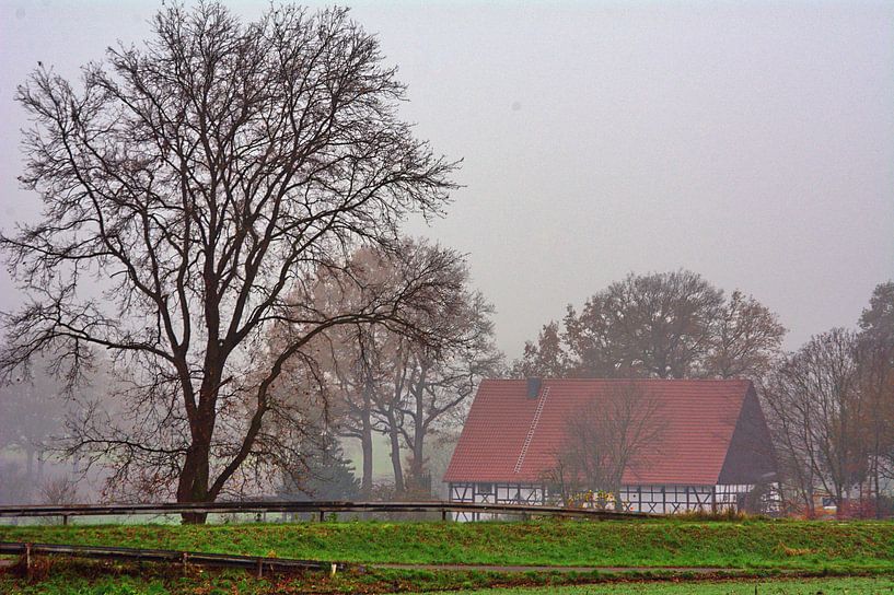 Matin brumeux 1 par Edgar Schermaul
