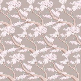 Spring in Japan - Sakura blossom tree