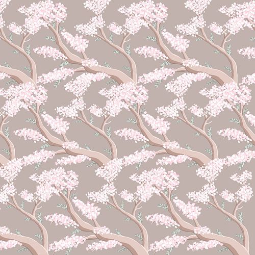 Spring in Japan - Sakura blossom tree