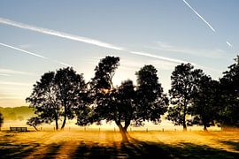 Vogelenzang 2ème Doodweg le matin sur martin slagveld