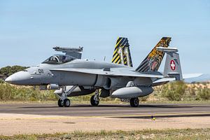 Dieser schöne Tiger der Schweizer Luftwaffe war auch auf dem NATO Tiger Meet 2016 in Zaragoza zu seh