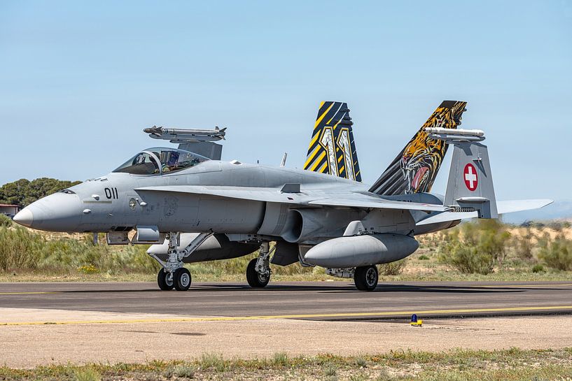 This beautiful Tiger from the Swiss Air Force was also on display at the NATO Tiger Meet 2016 in Zar by Jaap van den Berg