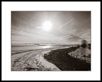Winterlandschap 2 van René Roos