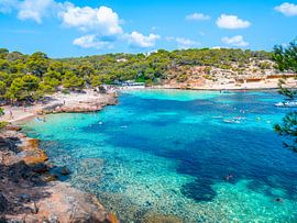 Mallorca strand met bos