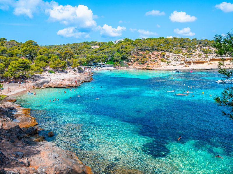 Mallorca strand met bos van Mustafa Kurnaz
