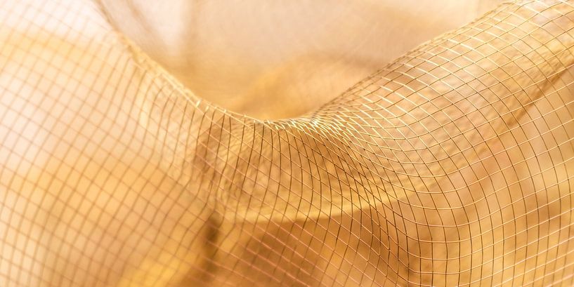 Filigrane Romantik: Goldenes Netzgewebe im Detail von Mixed media vector arts