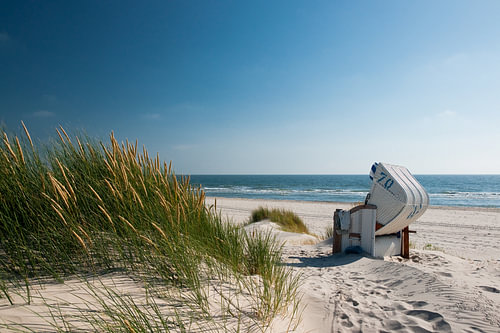 Noordzee - Duin met stralend Duingras