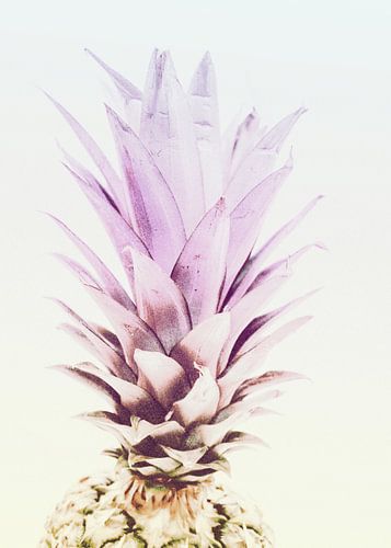 PASTEL PINEAPPLE no2c