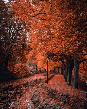 Der goldene Herbst von Arnold Maisner