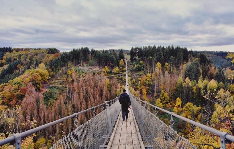 Suspension Bridge Geierlay by Goldeneyes