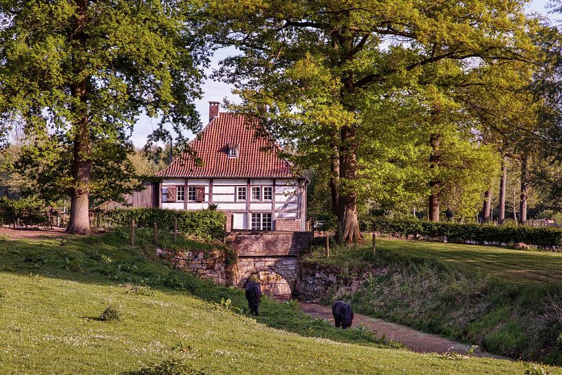 Castle Terborgh in Schinnen by Rob Boon