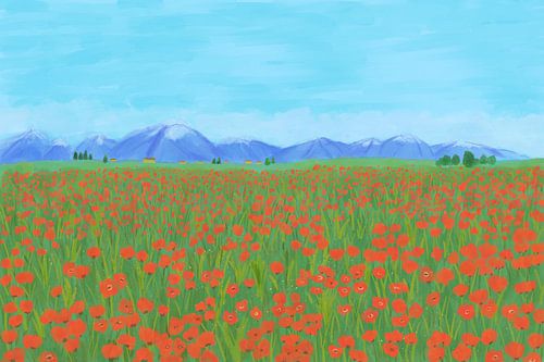 Champ de coquelicots