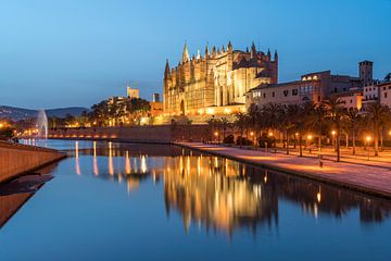 Cathedral in Palma de Mallorca by Peter Schickert