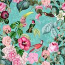 Hummingbird Paradies by Andrea Haase thumbnail
